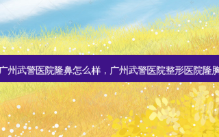 广州武警医院隆鼻怎么样，广州武警医院整形医院隆胸