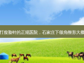 石家庄打瘦脸针的正规医院，石家庄下颌角整形大概多少钱