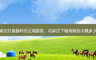 石家庄打瘦脸针的正规医院，石家庄下颌角整形大概多少钱