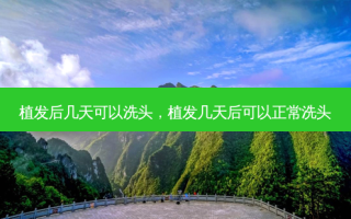植发后几天可以洗头，植发几天后可以正常洗头