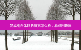 易成刚自体脂肪填充怎么样，易成刚隆胸