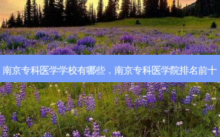 南京专科医学学校有哪些，南京专科医学院排名前十