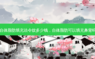 自体脂肪填充法令纹多少钱，自体脂肪可以填充鼻背吗