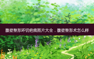 腹壁整形环切疤痕图片大全，腹壁整形术怎么样