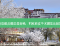 割双眼皮哪里最好哦，割双眼皮手术哪里比较好