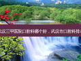 武汉三甲医院口腔科哪个好，武汉市口腔科排名