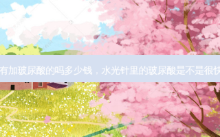 水光针里有加玻尿酸的吗多少钱，水光针里的玻尿酸是不是很快就代谢了