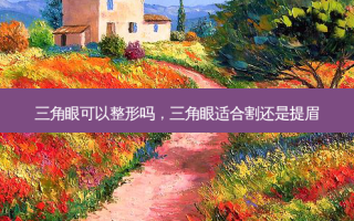 三角眼可以整形吗，三角眼适合割还是提眉