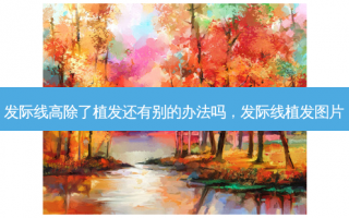 发际线高除了植发还有别的办法吗，发际线植发图片
