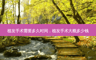 植发手术需要多久时间，植发手术大概多少钱