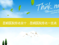 昆明医院排名前十，昆明医院排名一览表