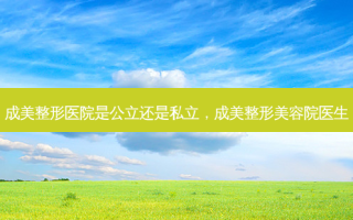 成美整形医院是公立还是私立，成美整形美容院医生