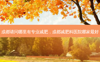 成都请问哪里有专业减肥，成都减肥科医院哪家最好