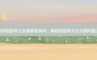眼部脂肪填充会被吸收掉吗，眼睛脂肪填充会失明吗图片