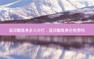 玻尿酸隆鼻多久补打，玻尿酸隆鼻价格贵吗