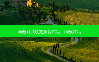 海薇可以填充鼻基底吗，海薇好吗