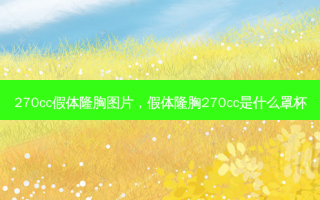 270cc假体隆胸图片，假体隆胸270cc是什么罩杯