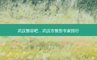 武汉整容吧，武汉市整形专家排行