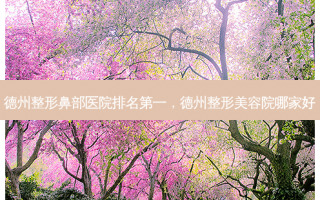 德州整形鼻部医院排名第一，德州整形美容院哪家好