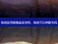 狼疮能用植物染发剂吗，狼疮可以种睫毛吗
