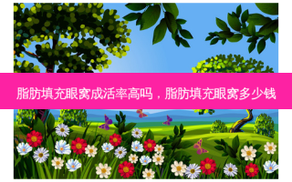脂肪填充眼窝成活率高吗，脂肪填充眼窝多少钱