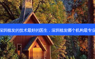 深圳植发的技术最好的医生，深圳植发哪个机构最专业