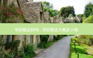割双眼皮好吗，割双眼皮大概多少钱