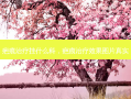疤痕治疗挂什么科，疤痕治疗效果图片真实