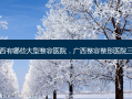 广西有哪些大型整容医院，广西整容整形医院三甲