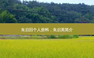 朱启田个人资料，朱启英简介