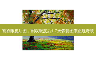 割双眼皮后图，割双眼皮后1-7天恢复图来正规奇致
