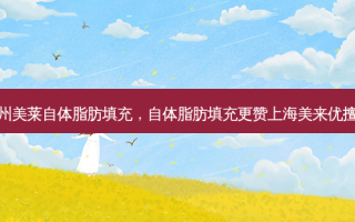 苏州美莱自体脂肪填充，自体脂肪填充更赞上海美来优擅长