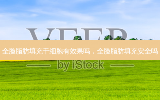 全脸脂肪填充干细胞有效果吗，全脸脂肪填充安全吗