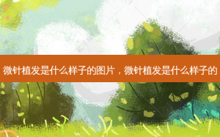 微针植发是什么样子的图片，微针植发是什么样子的