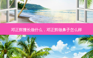 邓正辉擅长做什么，邓正辉做鼻子怎么样