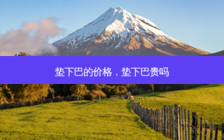 垫下巴的价格，垫下巴贵吗