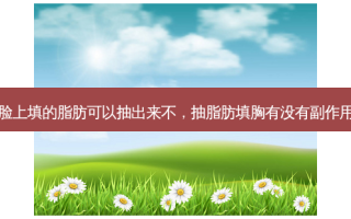 脸上填的脂肪可以抽出来不，抽脂肪填胸有没有副作用