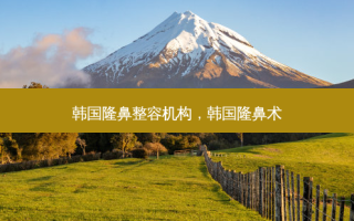 韩国隆鼻整容机构，韩国隆鼻术