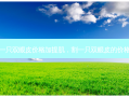 割一只双眼皮价格加提肌，割一只双眼皮的价格表