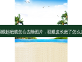 双眼起疤痕怎么去除图片，双眼皮长疤了怎么办