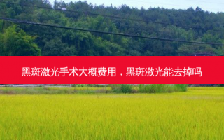 黑斑激光手术大概费用，黑斑激光能去掉吗