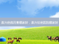 嘉兴疤痕药膏哪家好，嘉兴祛疤医院哪家好