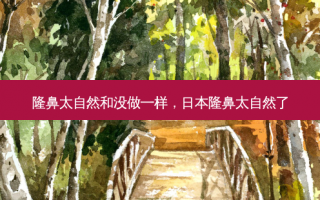 隆鼻太自然和没做一样，日本隆鼻太自然了