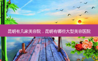 昆明有几家美容院，昆明有哪些大型美容医院