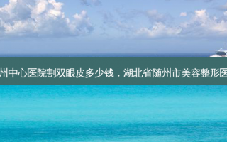 随州中心医院割双眼皮多少钱，湖北省随州市美容整形医院