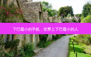 下巴最小的手机，世界上下巴最小的人