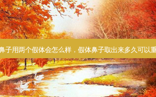 假体鼻子用两个假体会怎么样，假体鼻子取出来多久可以重新做