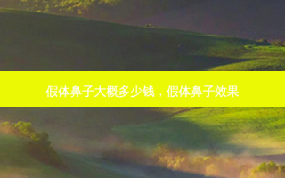 假体鼻子大概多少钱，假体鼻子效果