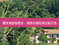 哪里做抽脂便宜，抽脂去哪里抽比较正规