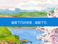 硅胶下巴的形状，硅胶下巴